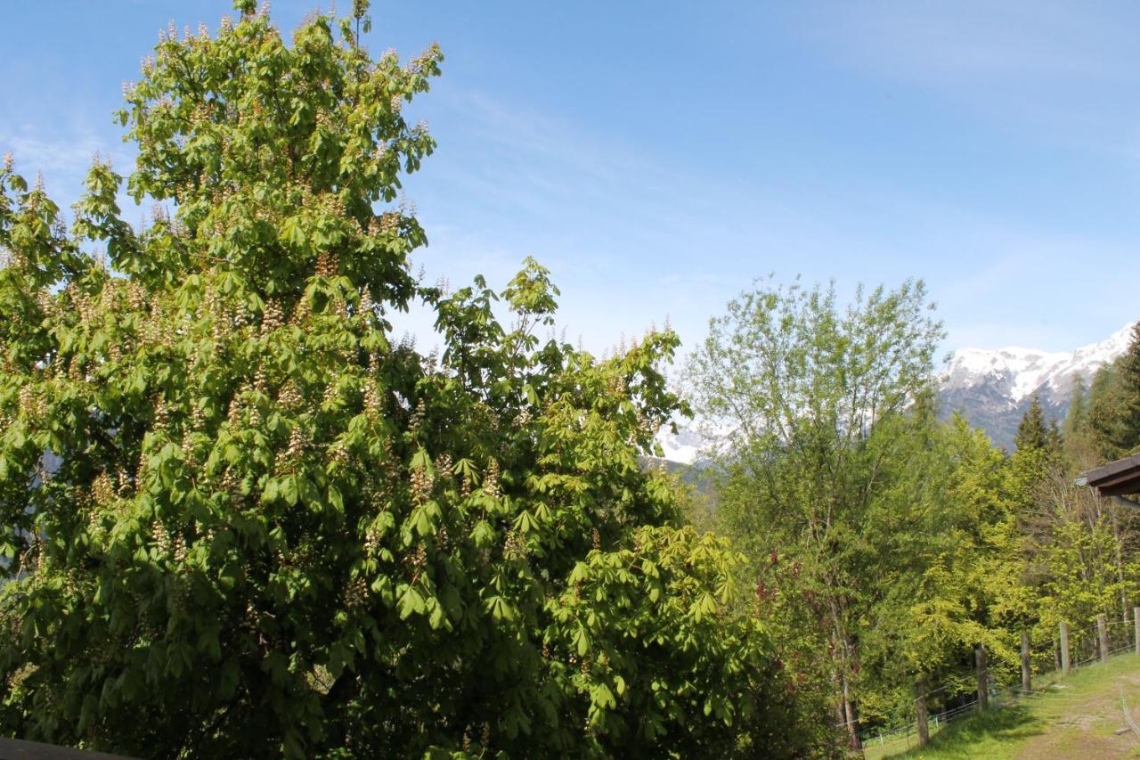 Samerhof 3* Pfarrwerfen